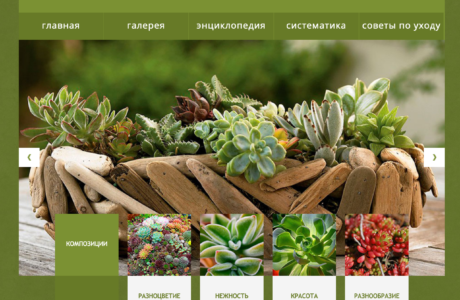 Succulent site
<em>(Typo3)</em>
<a href="http://www.succulent.com.ua/">http://www.succulent.com.ua/</a>